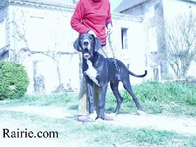 Stone Du Domaine De Valdemar