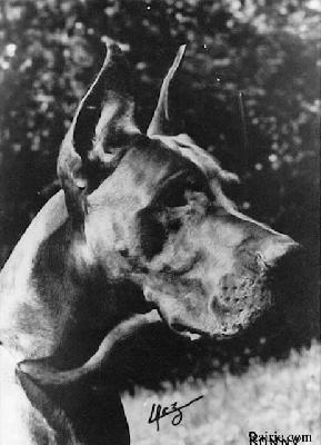 Ch Ronny De La Templerie