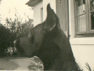 Ulla Von Der Stadt Hamburg