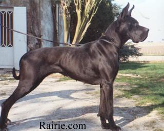 Elle Des Terres De La Rairie