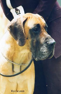 Ch Perle D�or Des Terres De La Rairie