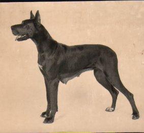 Ypseline Von Hochstein