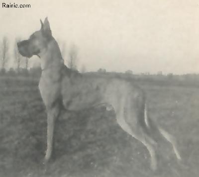 Ch Arn Von Riedstern