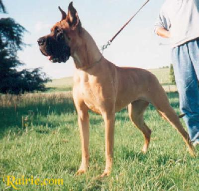 Ch Gaetane Des Terres De La Rairie