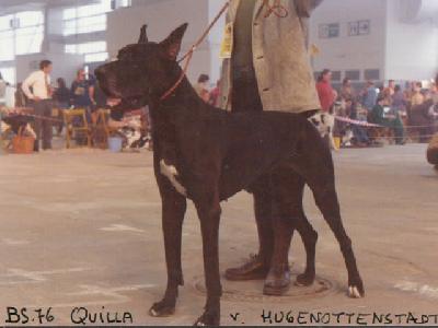 Quilla Von Der Hugenottenstadt