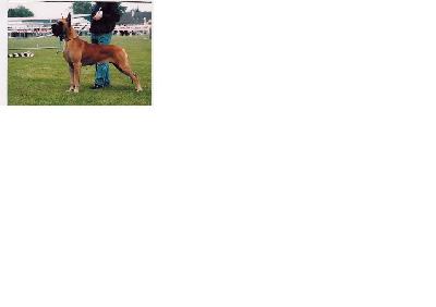 Ch Nanuschka Des Terres Sauvages