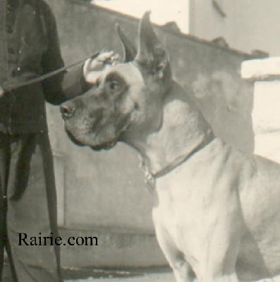 Alexandro Jasir Von Der Blautalhohe