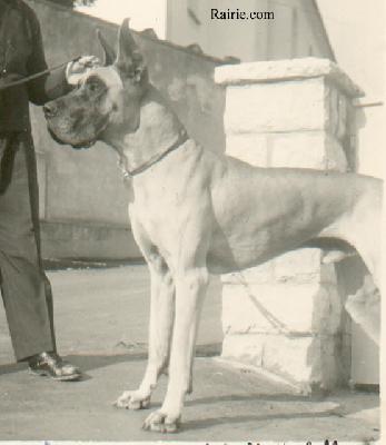 Alexandro Jasir Von Der Blautalhohe