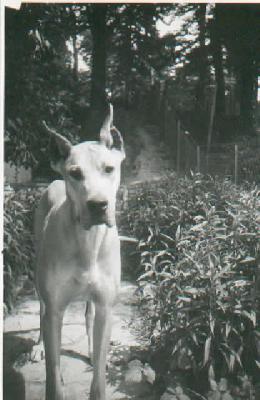 Gratia Von Schilfkolben