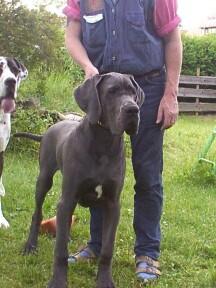 Sokram Des Terres De La Rairie