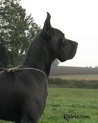 Ch Socrate Des Terres De La Rairie