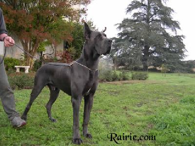 Ch Socrate Des Terres De La Rairie