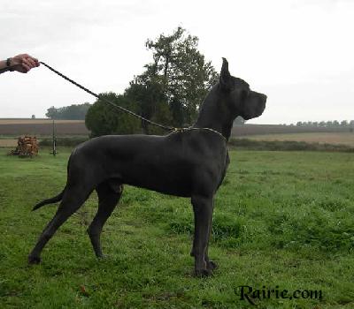 Ch Socrate Des Terres De La Rairie