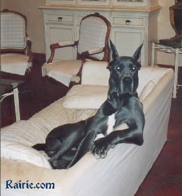 Smoke Des Terres De La Rairie