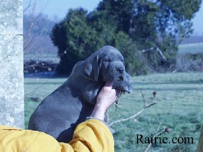 Sita Des Terres De La Rairie