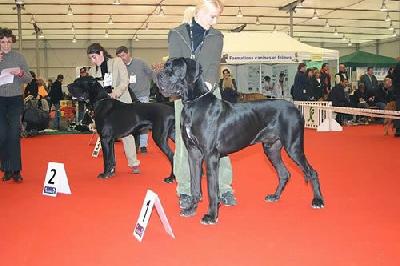 Serguei Des Terres De La Rairie