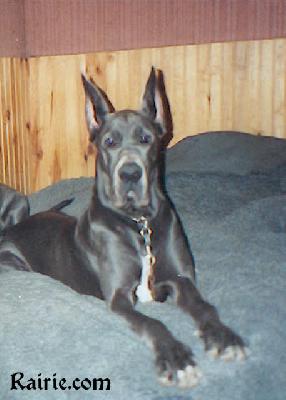 Symbol Des Terres De La Rairie