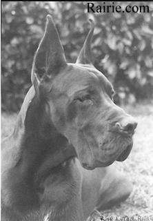 Ch Bor Des Terres De La Rairie