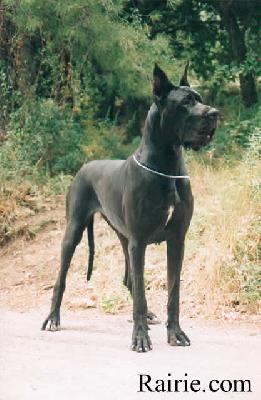 Ch Hiroshima De La Benjamine