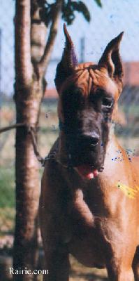 Ouh La La Des Terres De La Rairie