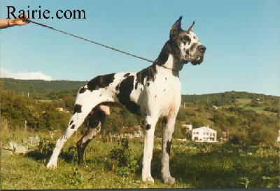 Ch Orest Des Terres De La Rairie