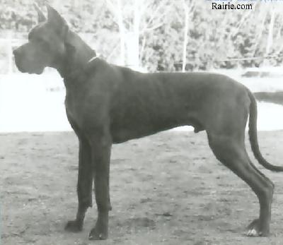 Ch Pharis Des Terres De La Rairie