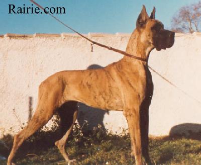 Ch Raphale Des Terres De La Rairie