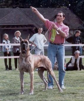 Ch Jefe Indio De Garaba