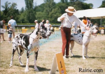 Ch Jose Maria Des Terres De La Rairie