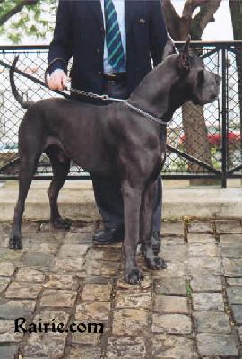 Ch Nykos Des Terres De La Rairie