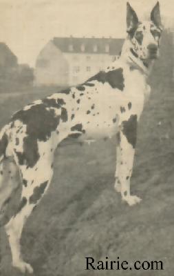 Asta Von St Adelheid