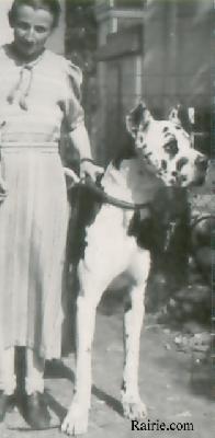 Domino Vom Schilfkolben