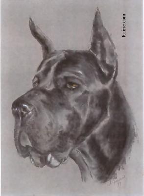 Mein Mann Des Terres De La Rairie