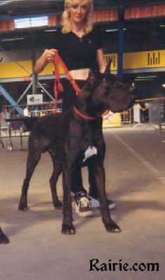 Mein Mann Des Terres De La Rairie