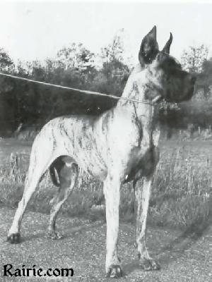 Ch Askan Von Humbold