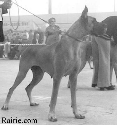 Katja Von Der Stadt Elsfleth