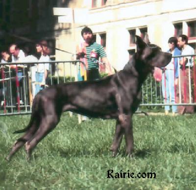 Edelweiss Du Temps Qui Passe