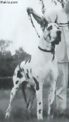 Jethro Tull Von Der Burg Diana