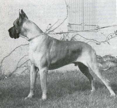 Cesar De Heurte-feuille