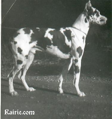 Tankred Von St Magn Obertraubling