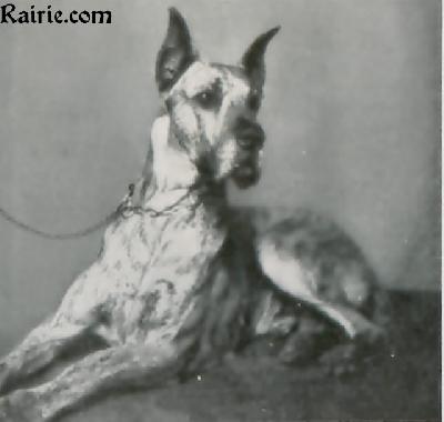 Finn Von Hoch Eberstein