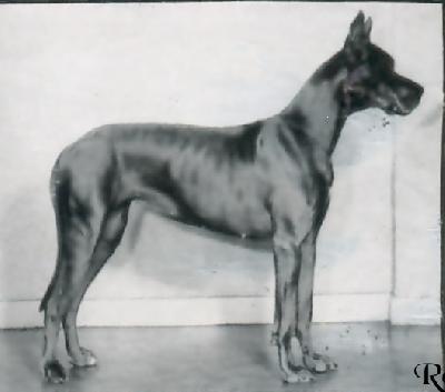 Ch Fama Aus Dem Winkel