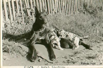 Cista Von Schloss Laupheim
