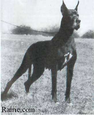 Dolores Von Der Burg Diana