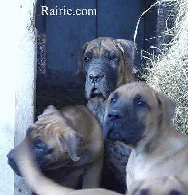 To Must Des Terres De La Rairie