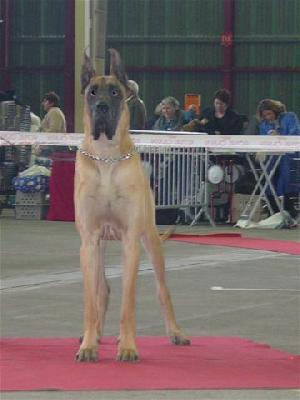 To Must Des Terres De La Rairie