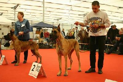 Texanne Des Terres De La Rairie