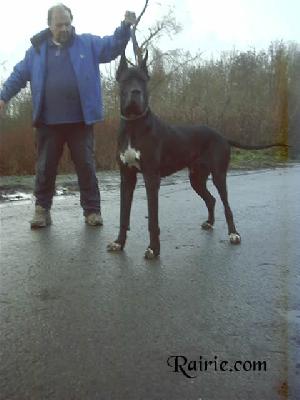 Tyrus Des Terres De La Rairie