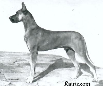 Kalandus Vom Drachenstein