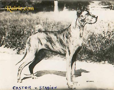 Castor Von Stadion